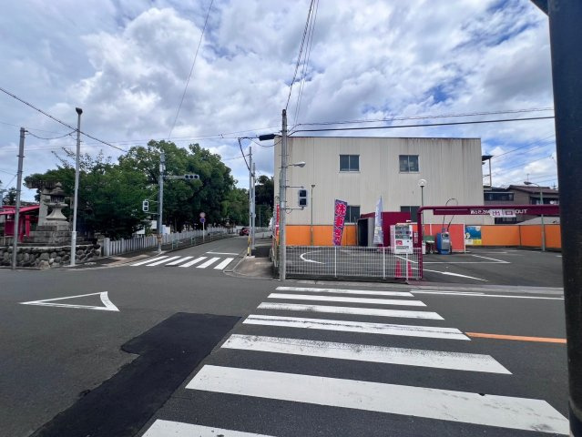 パインスコッチの展望|パインスコッチ