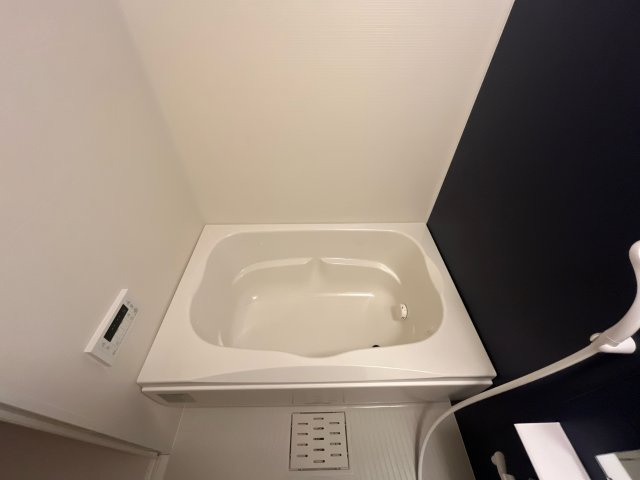 ＫＳ　Ｇｒａｎｄ　Ｒｉｖｅｒの浴室