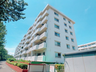 【外観】 | 国道134号線より松林と道路を挟んで一段内側にあるマンションです！