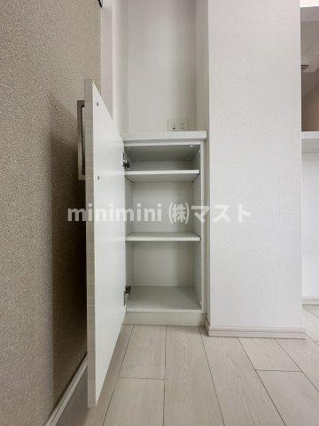 クリスタルエグゼ南堀江の収納