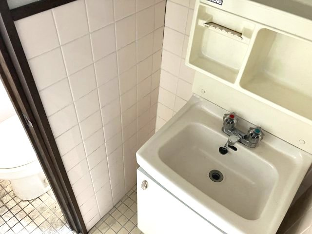 ブルーリバーⅡの洗面所