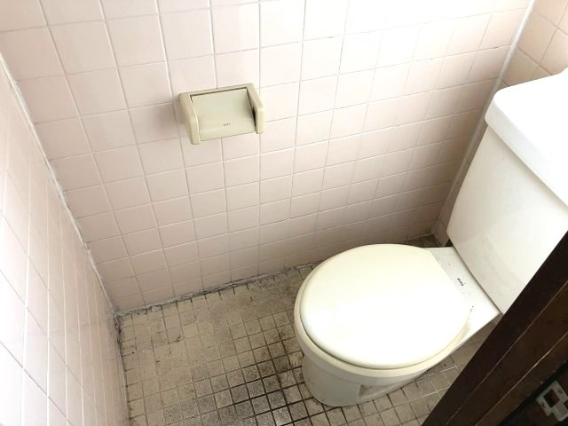 ブルーリバーⅡのトイレ