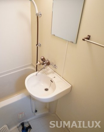 ブリリアントハイツの洗面所