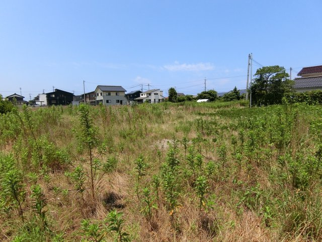 北栄町西園　土地の外観