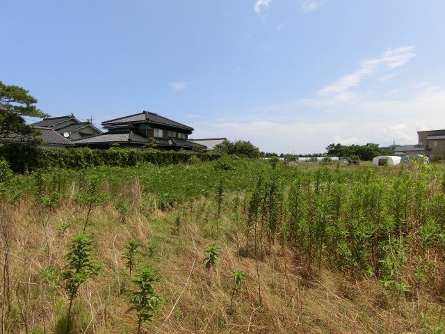 北栄町西園　土地の外観