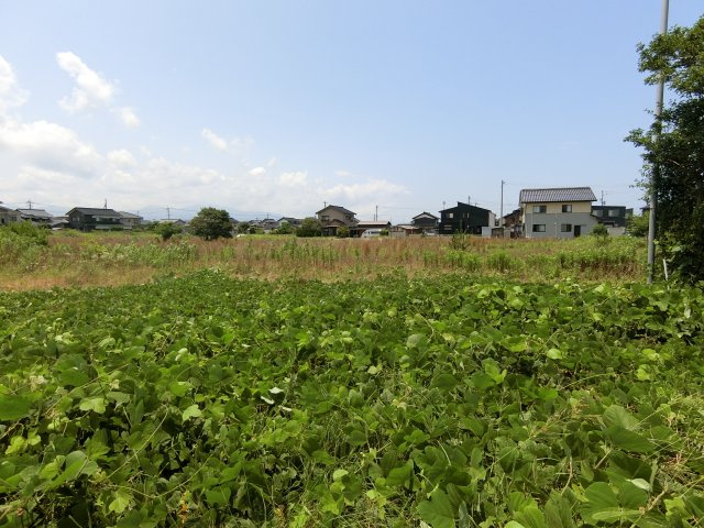 北栄町西園　土地の外観
