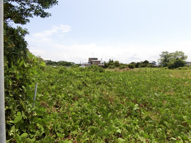 北栄町西園　土地の外観