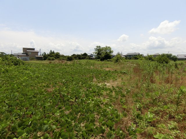 北栄町西園　土地の外観