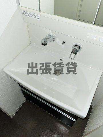 仲介手数料0円！セイワパレス丸の内駅前の洗面所