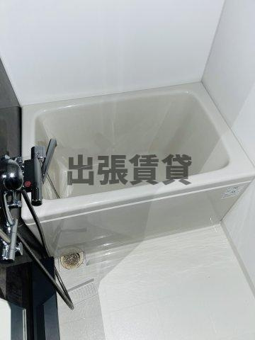 仲介手数料0円！セイワパレス丸の内駅前の浴室