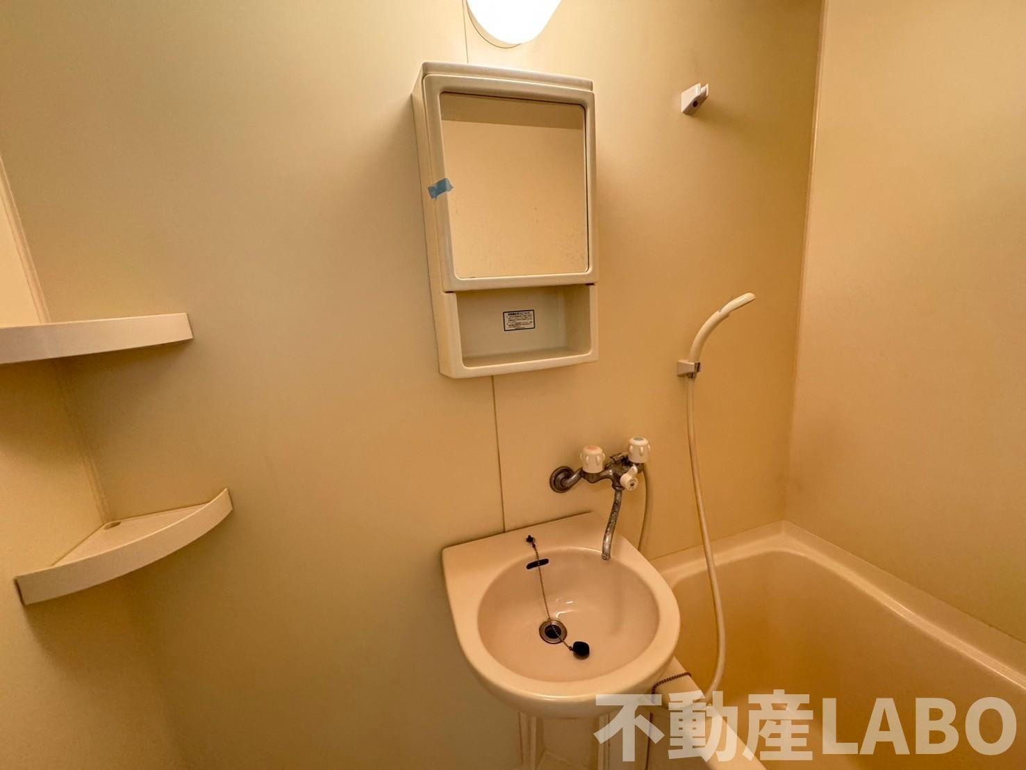 メゾンドフェンテの洗面所