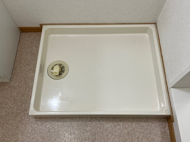 モーニンググローリーⅡのその他
