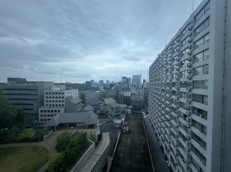 【展望】