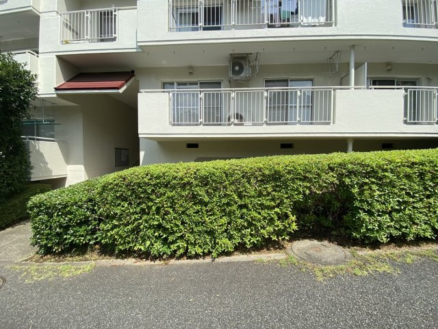 の-の画像