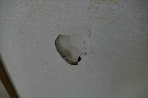 川奈　中古建てのその他|要修繕箇所あり　階段