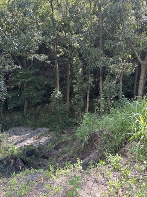 【その他】 | 菊池郡大津町大字高尾野　土地