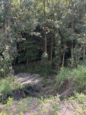 【周辺】 | 菊池郡大津町大字高尾野　土地