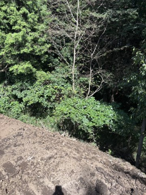 【外観】 | 菊池郡大津町大字高尾野　土地