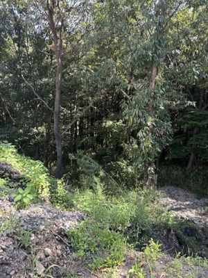 【周辺】 | 菊池郡大津町大字高尾野　土地
