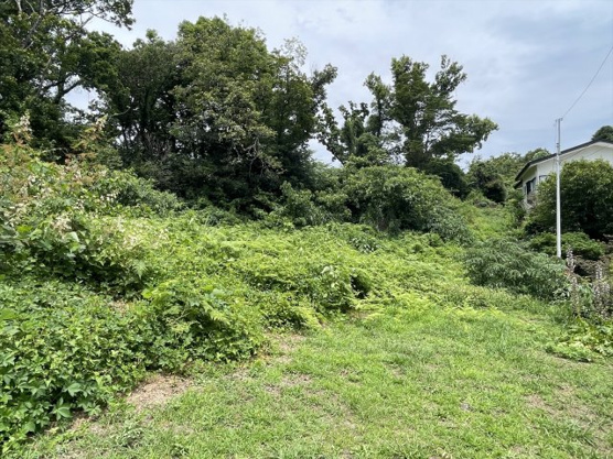 【外観】 | 東興別荘地　売地