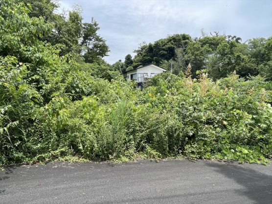 【前面道路含む現地写真】 | 東興別荘地　売地