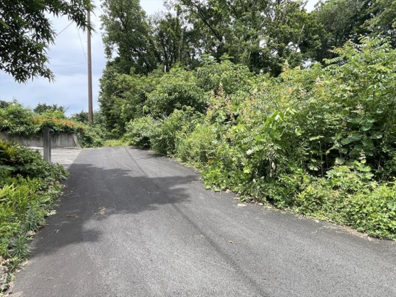 【前面道路含む現地写真】 | 東興別荘地　売地