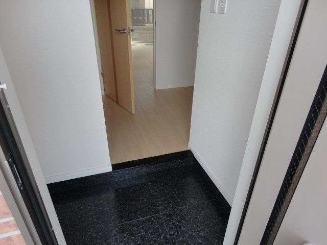 【玄関】サンセベリアⅡ