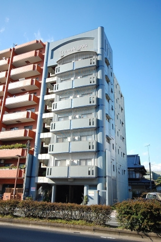 トランプの外観