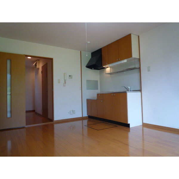 terrace paddyⅠの居間・リビング