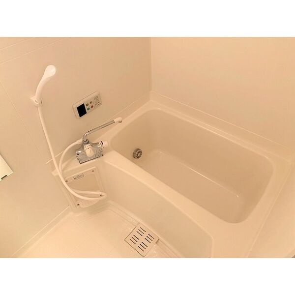 terrace paddyⅠの浴室