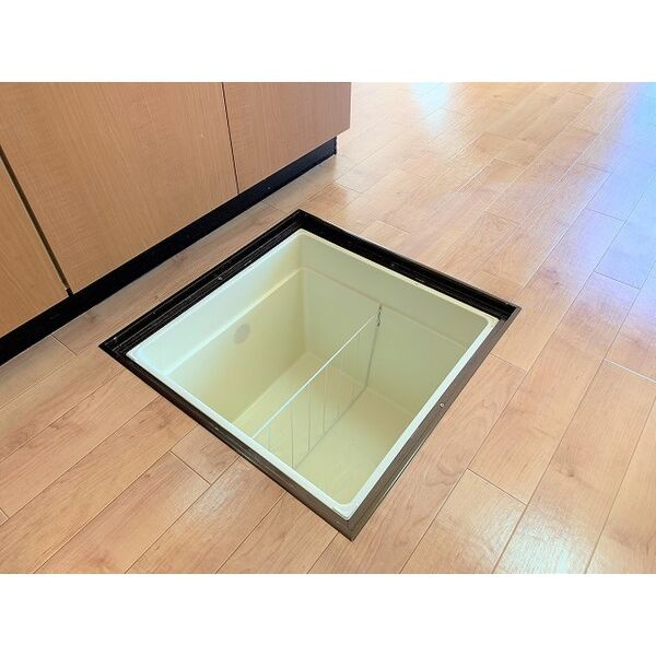 terrace paddyⅠの収納