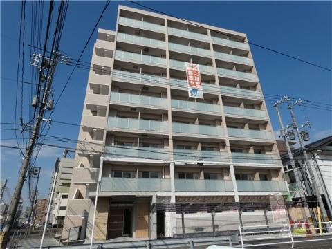 ＳＯＬＡＮＡ　ｈｉｇａｓｈｉｆｕｒｕｍａｔｓｕ