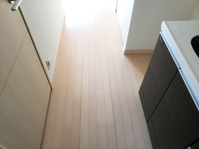 THEパームス新小岩の内装