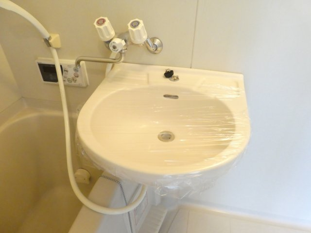 ルミエール逆瀬の洗面所