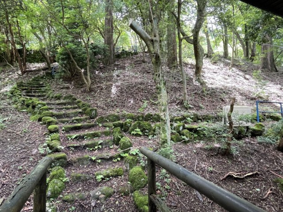 【庭】 | 東急天城高原別荘地　戸建