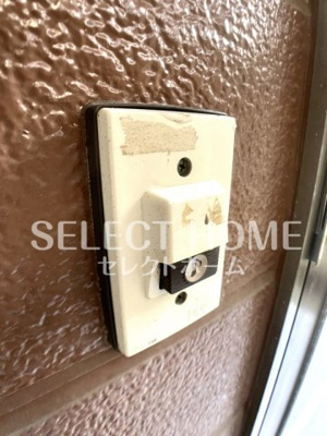  | Ｓｕｒｐｌｕｓ　Ｖｅｒｄｅ