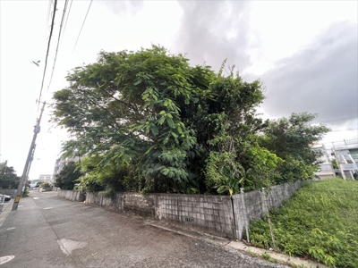 【外観】 | 沖縄市泡瀬3丁目【161.37坪】