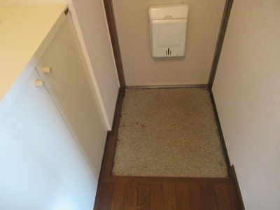 【玄関】 | ステーブル八番（鴻池新田賃貸） | 明るい玄関です