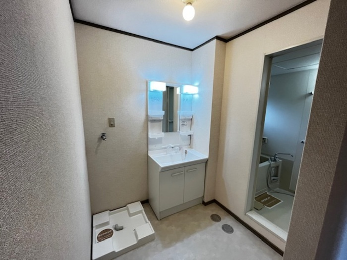 ブルースカイCの洗面所