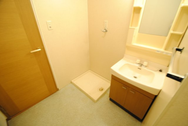 ドミールパーク江崎の洗面所