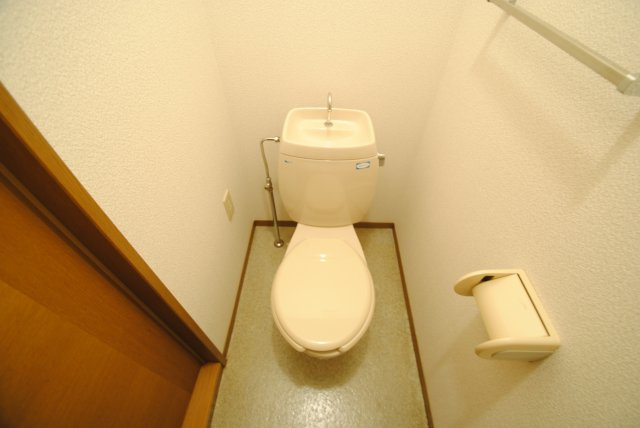 ドミールパーク江崎のトイレ