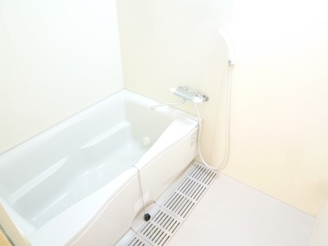 ハイシュタイン堀江の浴室