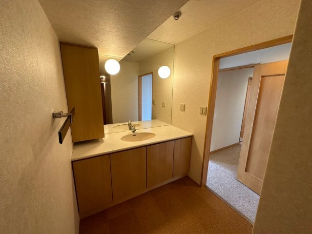 ザ・シーン徳川園の洗面所|洗面室は2カ所あり、忙しい朝もストレスなしでお使いいただけます◎