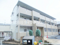 ヴィオラの画像