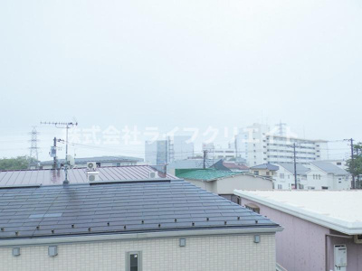 【展望】 | ヴィオラ