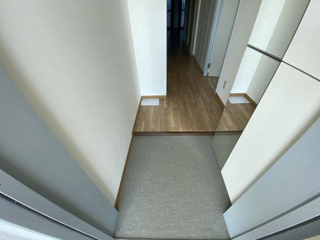 テルツォ南新在家の玄関
