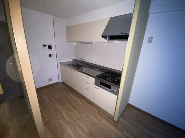 テルツォ南新在家のキッチン
