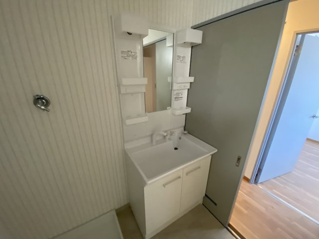 テルツォ南新在家の洗面所