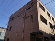 ロータス　ブルーの画像