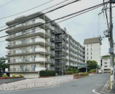 K51237-京都北山ｽｶｲﾊｲﾂの画像